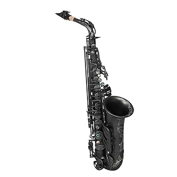 【今月限定特典！】新品アルトサックス豪華セット！即演奏可＆動画で音色確認！ Amazon.co.jp: アルトサックス眩しい色ラッカー真鍮メッキ